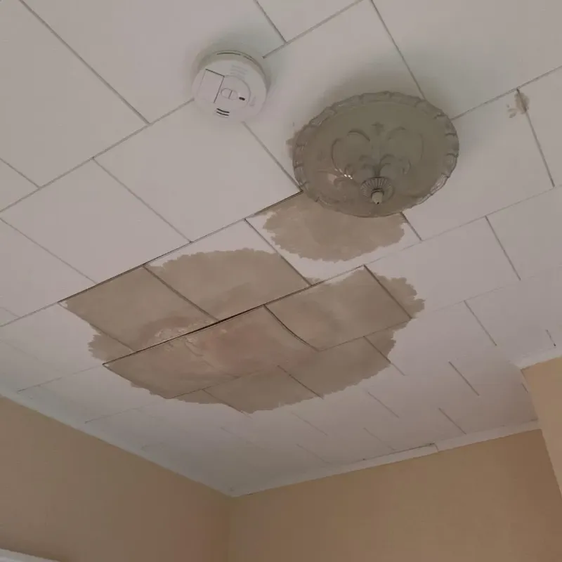 Ceiling Water Damage Repair in Maize, KS
