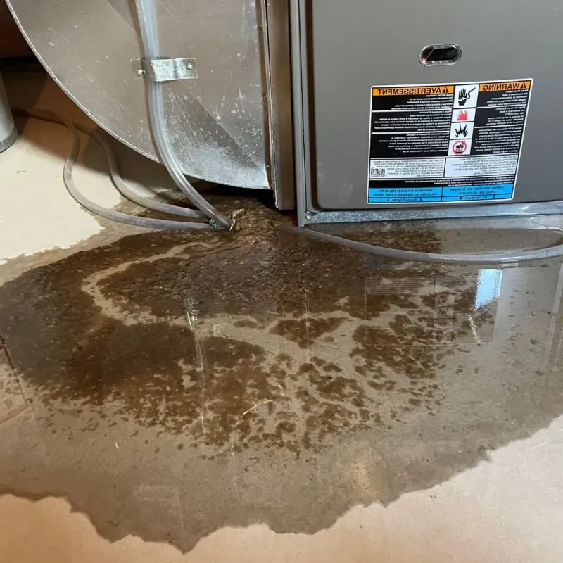 Pipe Burst and Leak Restoration in Maize, KS