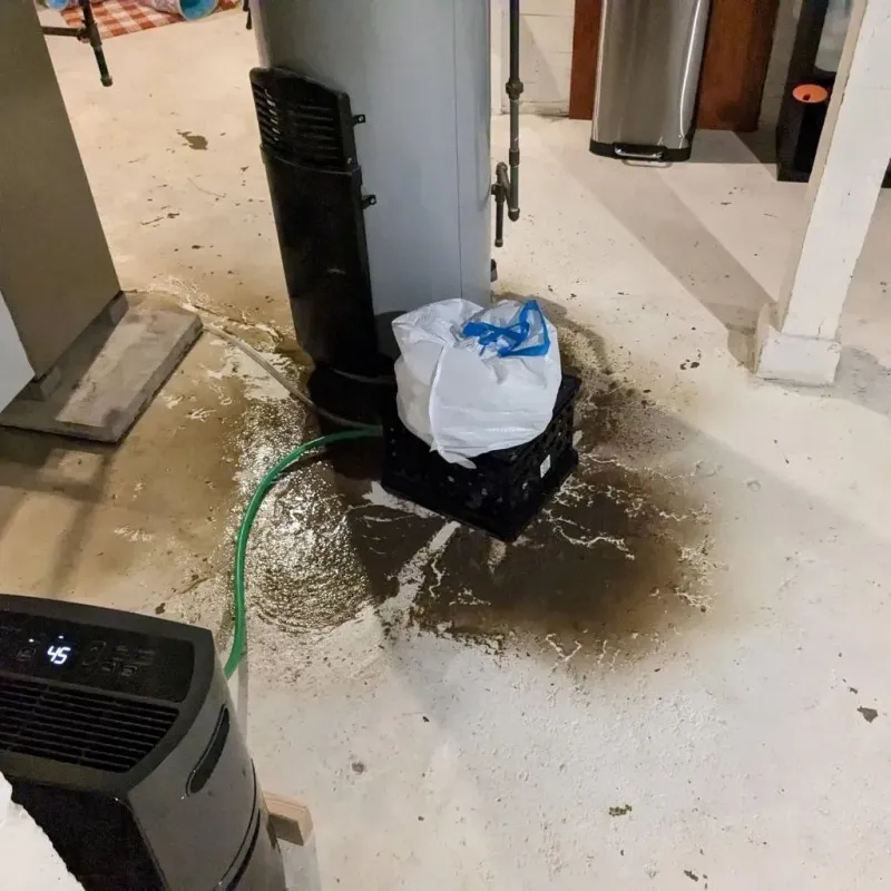 Sewage Backup Cleanup Service in Maize, KS